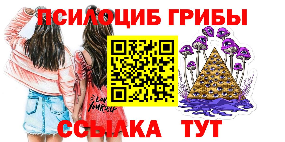 купить наркотик  Вход с VPN  Торжок  Псилоцибиновые грибы Magic Shrooms 